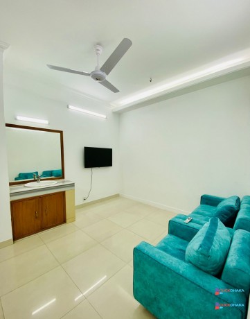 cozy-3-bedroom-luxury-apartment-rent-in-bashundhara-ra-big-0