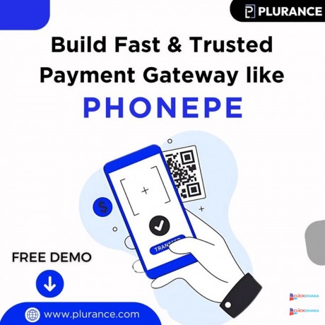 build-a-versatile-payment-solution-key-features-and-benefits-of-our-phonepe-clone-big-0