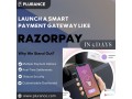 launch-a-power-packed-payment-gateway-with-razorpay-clone-script-small-0