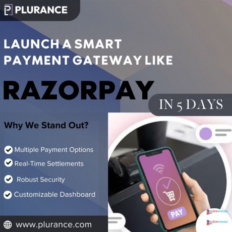launch-a-power-packed-payment-gateway-with-razorpay-clone-script-big-0
