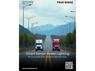 CCMS & Smart Sensor Street Lighting Solution
