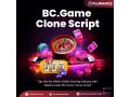 who-can-use-plurances-whitelabel-bcgame-clone-script-to-scale-fast-small-0