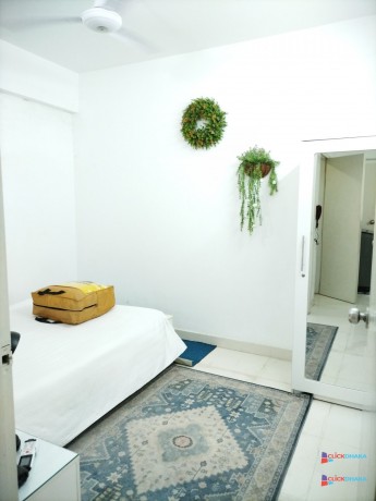 modern-2-bedroom-apartment-rent-in-bashundhara-ra-big-1