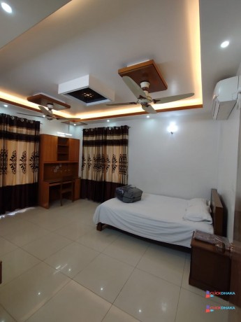 rent-furnished-4-bedroom-apartment-in-bashundhara-ra-big-2