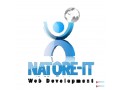 natore-it-is-best-domain-hosting-company-small-0