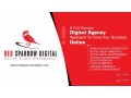 red-sparrow-digital-web-seo-digital-marketing-agency-in-bangladesh-small-0