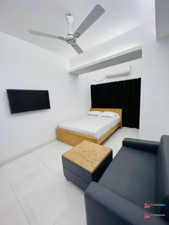 elegant-furnished-1room-studio-apartment-rent-in-bashundhara-ra-big-2