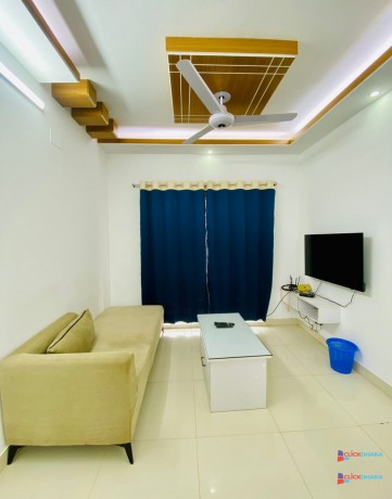 modern-2-bedroom-apartment-rent-in-bashundhara-ra-big-1
