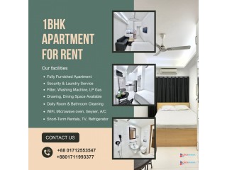 2 Room Furnished Studio Apartment RENT in Bashundhara R/A.