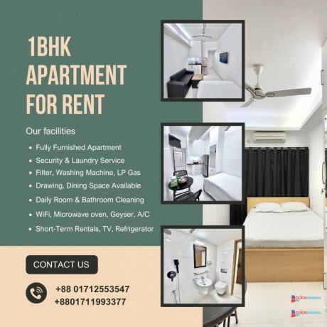 2-room-furnished-studio-apartment-rent-in-bashundhara-ra-big-0