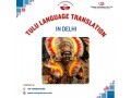 professional-tulu-language-translation-services-in-delhi-fast-accurate-small-0