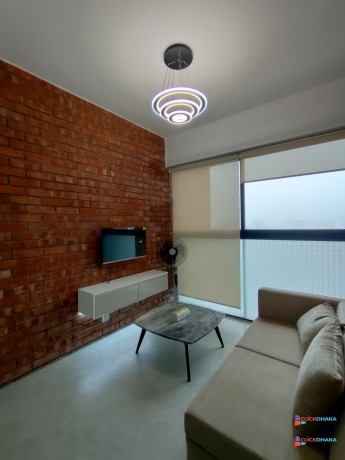 luxury-cozy-furnished-2-bedroom-flat-rent-in-baridhara-big-2