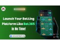 launch-your-betting-platform-like-bet365-in-no-time-small-0