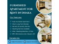 renting-a-furnished-1bhk-apartment-in-bashundhara-ra-small-0