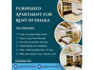 Renting A furnished 1BHK Apartment In Bashundhara R/A.