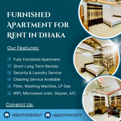 renting-a-furnished-1bhk-apartment-in-bashundhara-ra-big-0