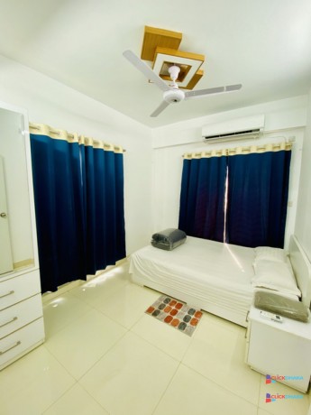 rentfurnished-two-bedroom-apartment-for-a-premiumexperience-in-bashundhara-ra-big-2