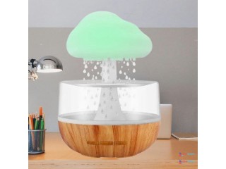 ঘরের এক টুকরো শান্তির ছোঁয়া : Humidifier with Raining Water Drop