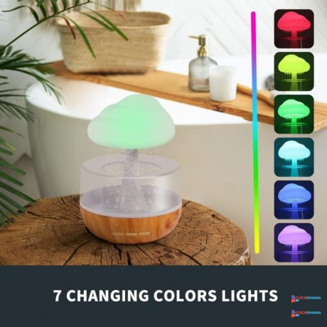 humidifier-with-raining-water-drop-big-1