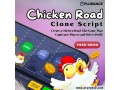 start-your-gaming-venture-with-a-ready-made-chicken-road-clone-script-small-0