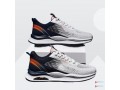 sports-shoe-small-1