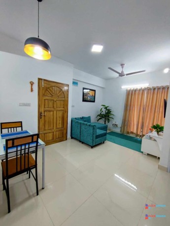 cozy-2-bedroom-furnished-apartment-rent-in-bashundhara-ra-big-2