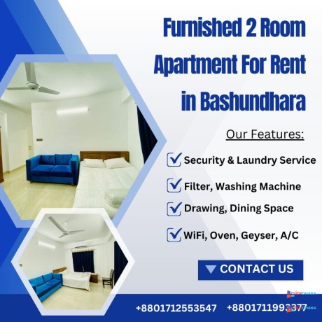 fully-furnished-2-bedroom-apartment-for-rent-in-bashundhara-ra-big-0