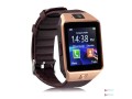 dz09-100-small-1