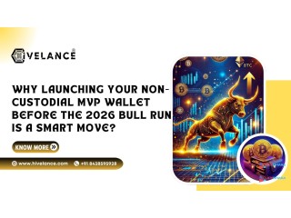 Launch a Non-Custodial MVP Wallet Before the Bull Run