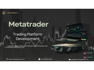 Metatrader Platform Development in USA