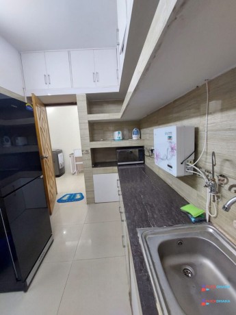 rent-furnished-one-bedroom-apartment-for-in-bashundhara-ra-big-2