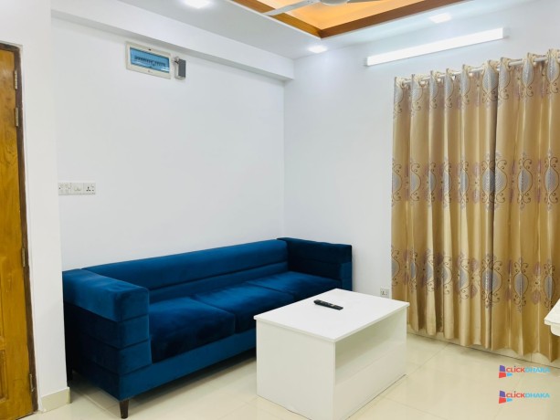 comfortable-furnished-1234-bhk-apt-rent-in-bashundhara-ra-big-2
