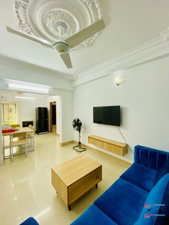 live-furnished-2-bhk-apartment-rent-in-bashundhara-ra-dhaka-big-2