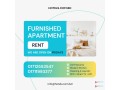 furnished-serviced-one-apartment-for-rent-in-bashundhara-ra-dhaka-small-0