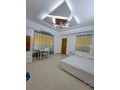fully-furnished-2-bedroom-apartment-rent-in-dhaka-small-1