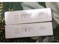 ovulation-test-kit-small-1