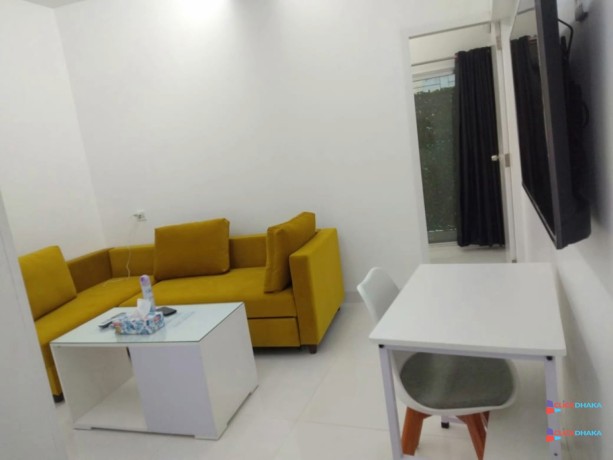 comfort-2-room-studio-apartment-rent-in-bashundhara-ra-big-2