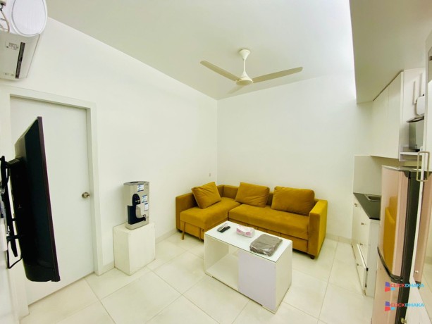 fully-furnished-one-bedroom-apartment-for-rent-big-1