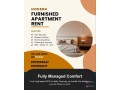 luxury-fully-furnished-2bhk-apartment-for-rent-in-bashundhara-small-0