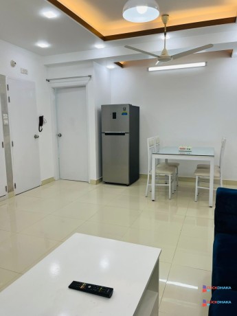 furnished-2-bedroom-apartment-rent-in-bashundhara-ra-big-1
