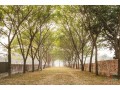5-katha-100-ready-plot-sale-at-purbachal-by-navana-small-0