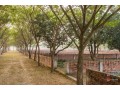 5-katha-100-ready-plot-sale-at-purbachal-by-navana-small-2