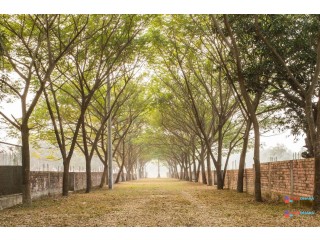 5 Katha 100 % ready plot Sale @ Purbachal by Navana