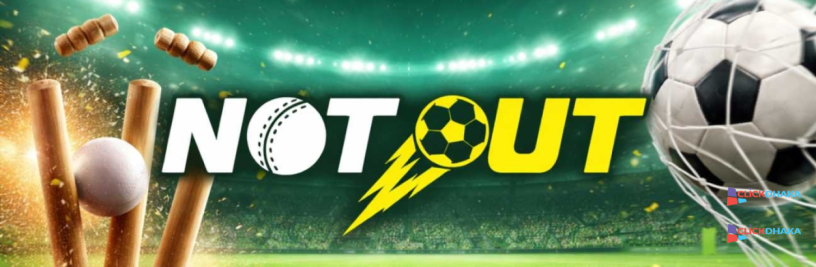 notout-big-1