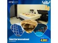 eid-ul-adha-vacation-special-with-etripi-small-0