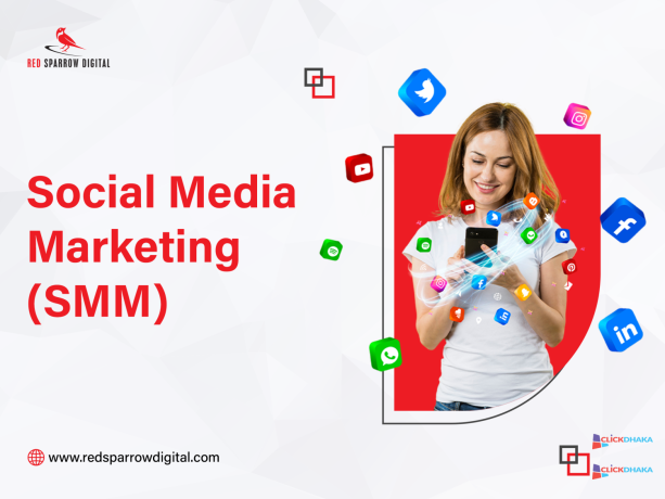 red-sparrow-digital-web-seo-digital-marketing-agency-in-bangladesh-big-2
