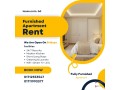 fully-furnished-300-sq-ft-apartment-in-bashundhara-small-0