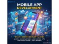why-more-singapore-startups-are-partnering-with-a-mobile-app-development-company-singapore-small-0