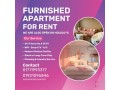 premium-4-bedroom-furnished-apartment-small-0