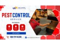 pest-control-service-small-1